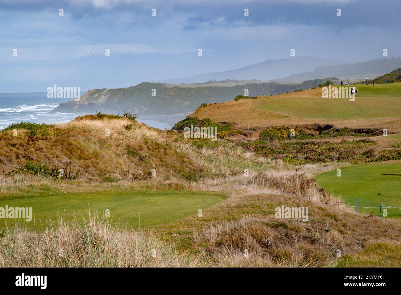 Bandon Dunes Golf Resort in Southern Oregon Stock Photo Alamy