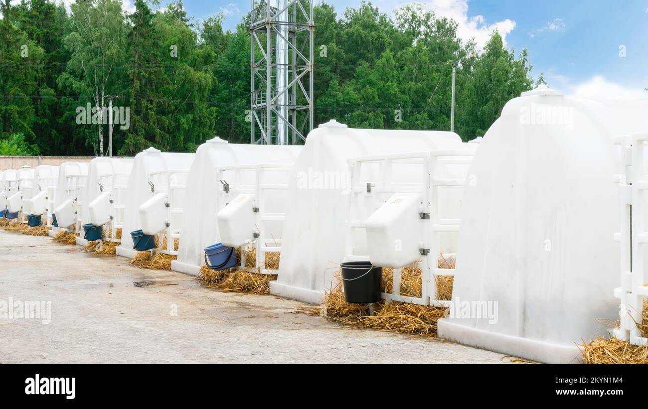 The use of special plastic shelter houses for keeping newborn calves in
