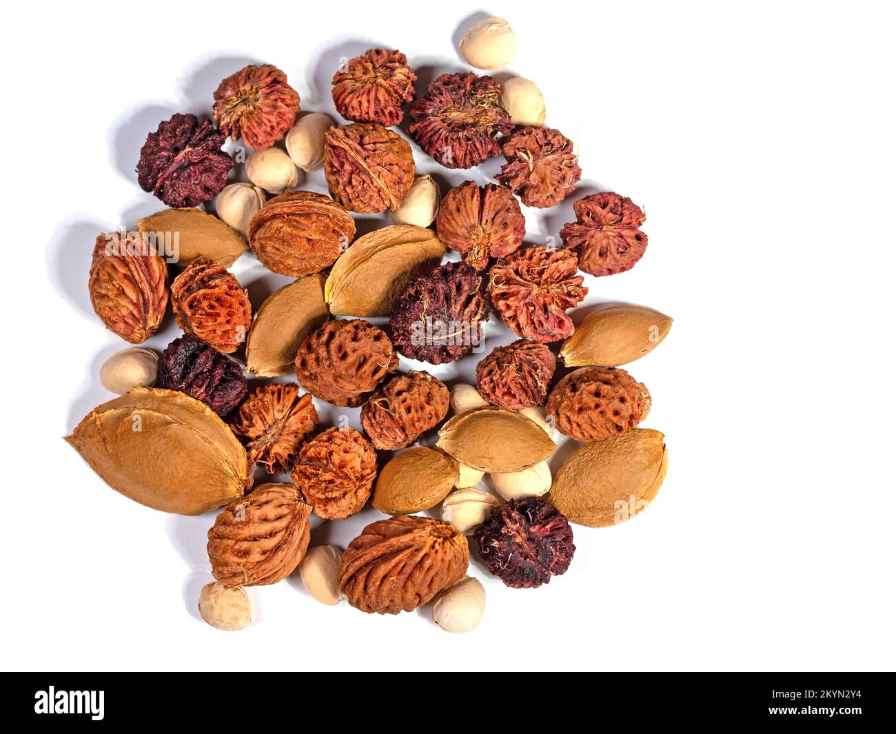 Kernels of different types of stone fruit Stock Photo