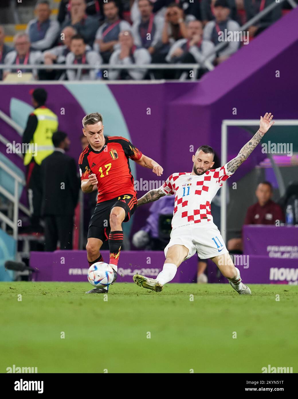 December 1, 2022, Doha, Doha, Qatar, Qatar: DOHA, QATAR - DECEMBER 1: Player of Croatia Marcelo BrozoviÄ‡ fights for the ball with player of Belgium Leandro Trossard during the FIFA World Cup Qatar 2022 group F match between Croatia and Belgium at Ahmad Bin Ali Stadium on December 1, 2022 in Doha, Qatar. (Credit Image: © Florencia Tan Jun/PX Imagens via ZUMA Press Wire) Stock Photo