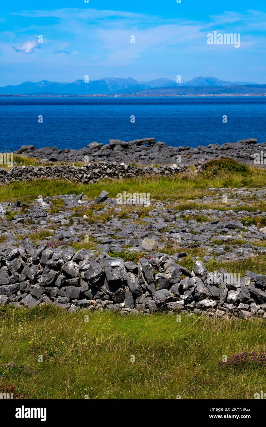 Dry stone walls, Inishmore, the largest of the Aran Islands, Galway