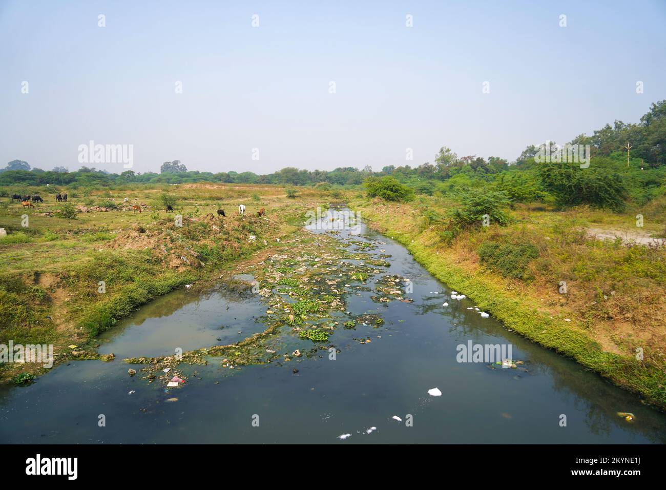 Pollution control day, plastic and garbage polluted river, waste materials floating on river water and polluted the water making it toxic,Pollution co Stock Photo