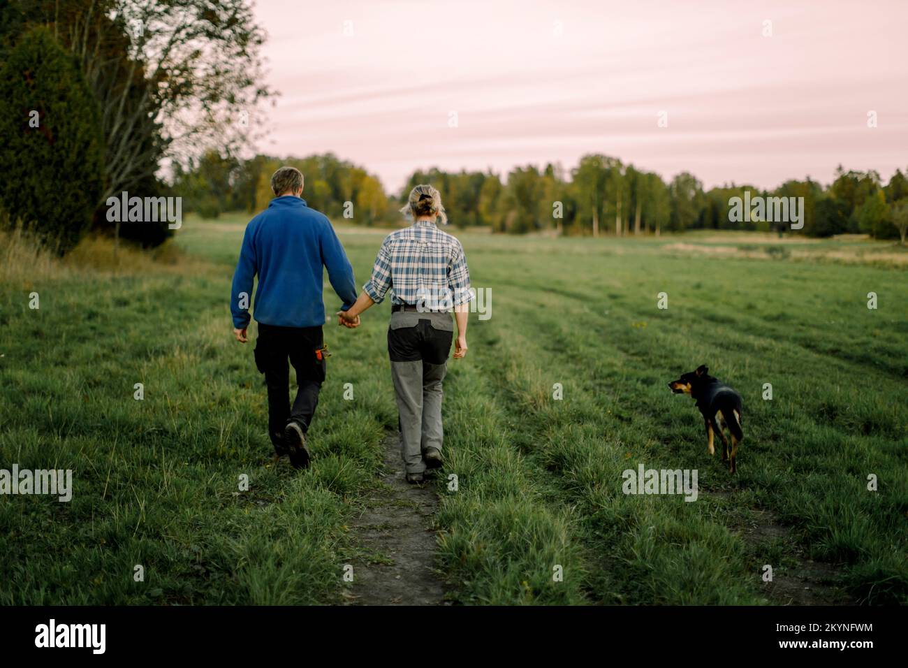 Mature couple holding hands and walking with dog on field during sunset Stock Photo