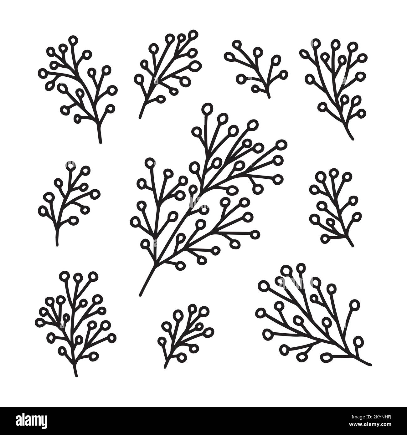 Christmas plants vector doodle set Stock Vector Image & Art Alamy