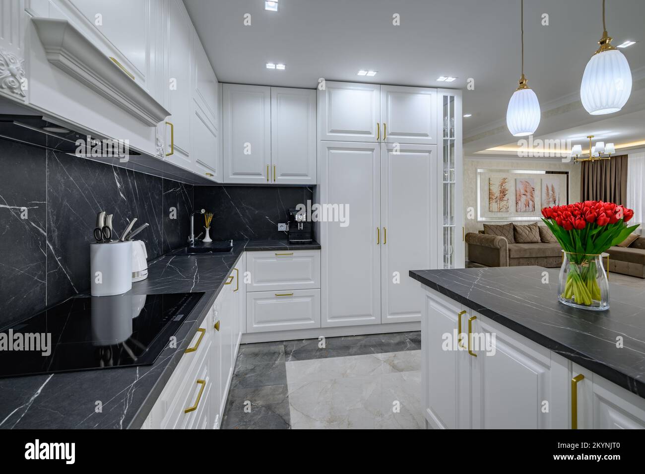 Large black and white expensive welldesigned modern kitchen in studio