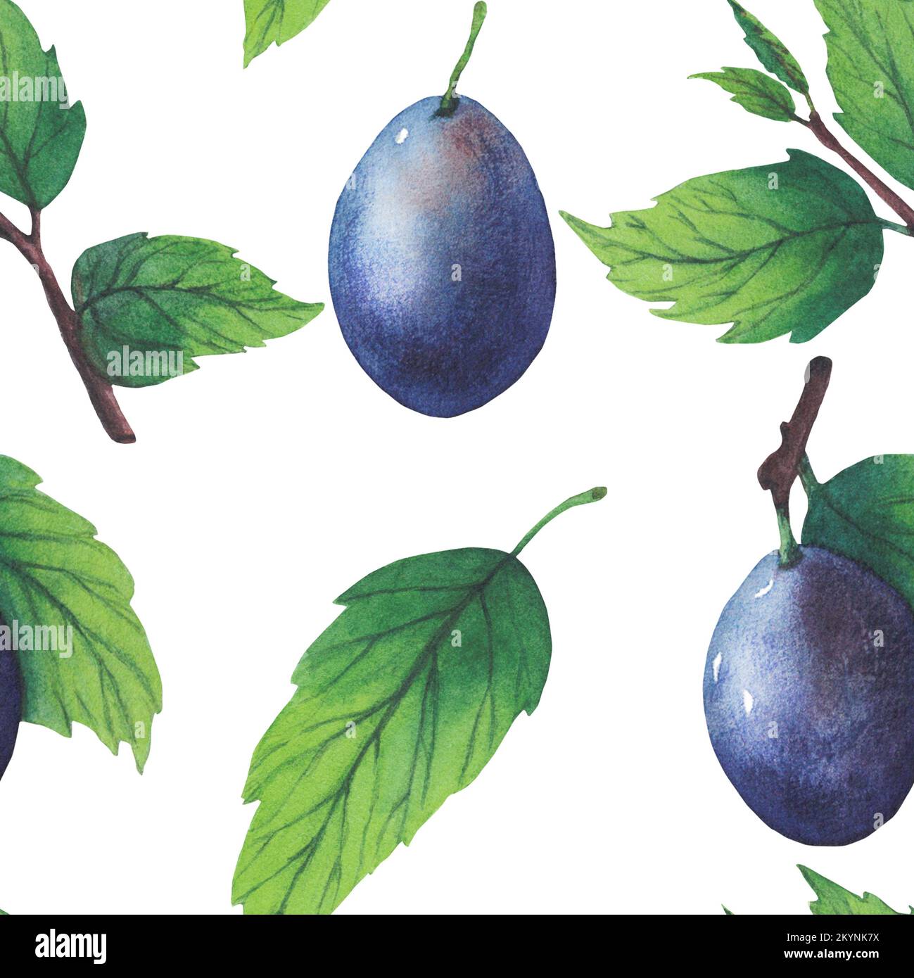 Pattern of watercolor plum tree branches with green leaves and fruits ...
