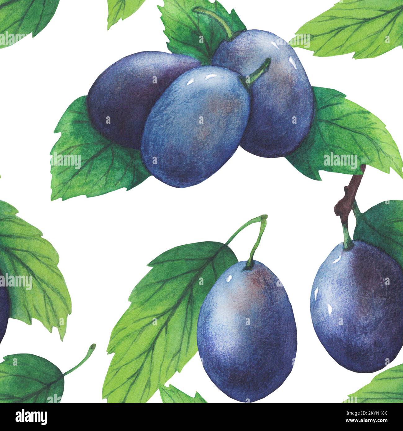 Pattern of watercolor plum tree branches with green leaves and fruits ...