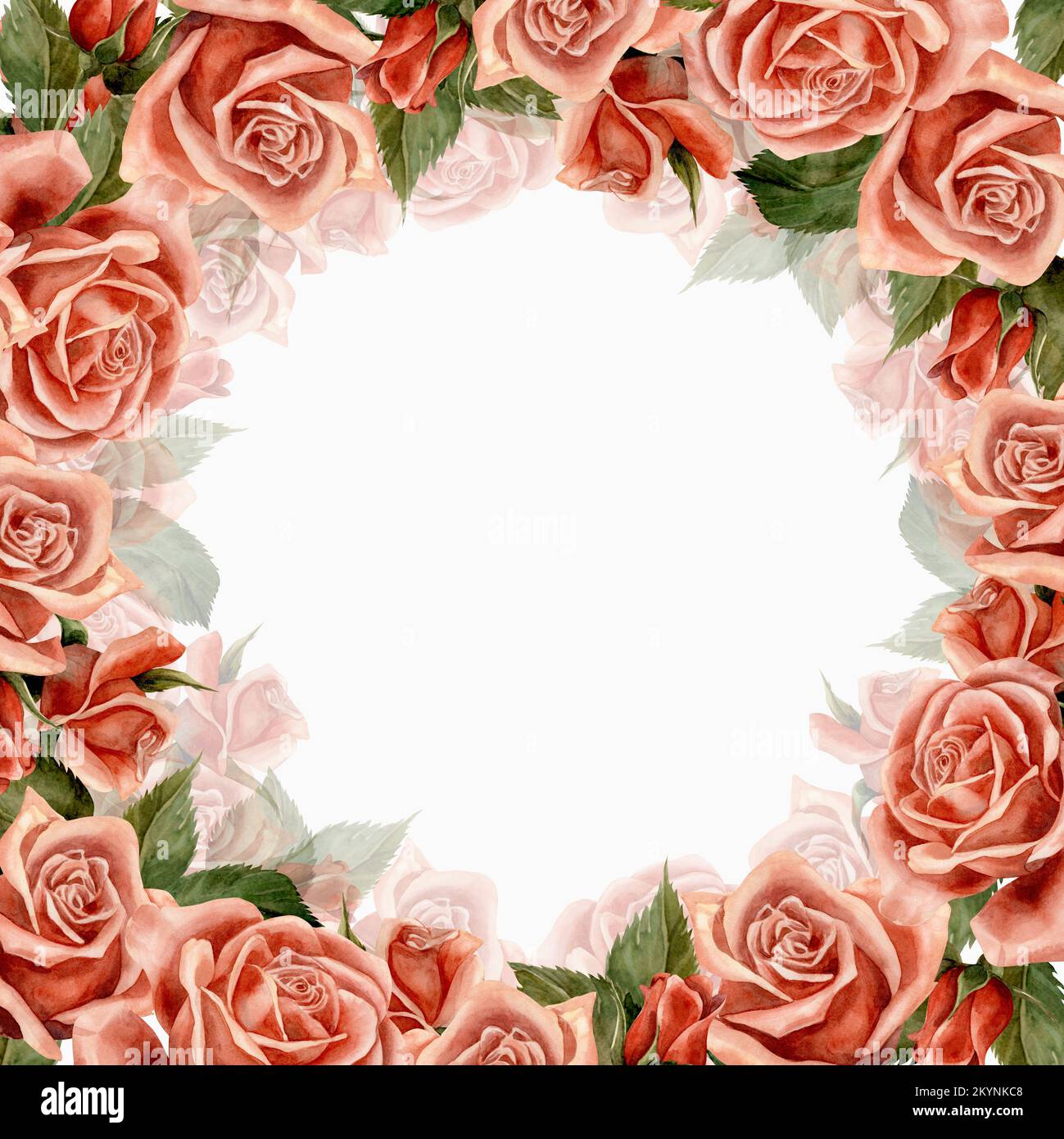 Rose. Frame. Watercolor. Illustration for clipart. Designed for flower studios, holiday