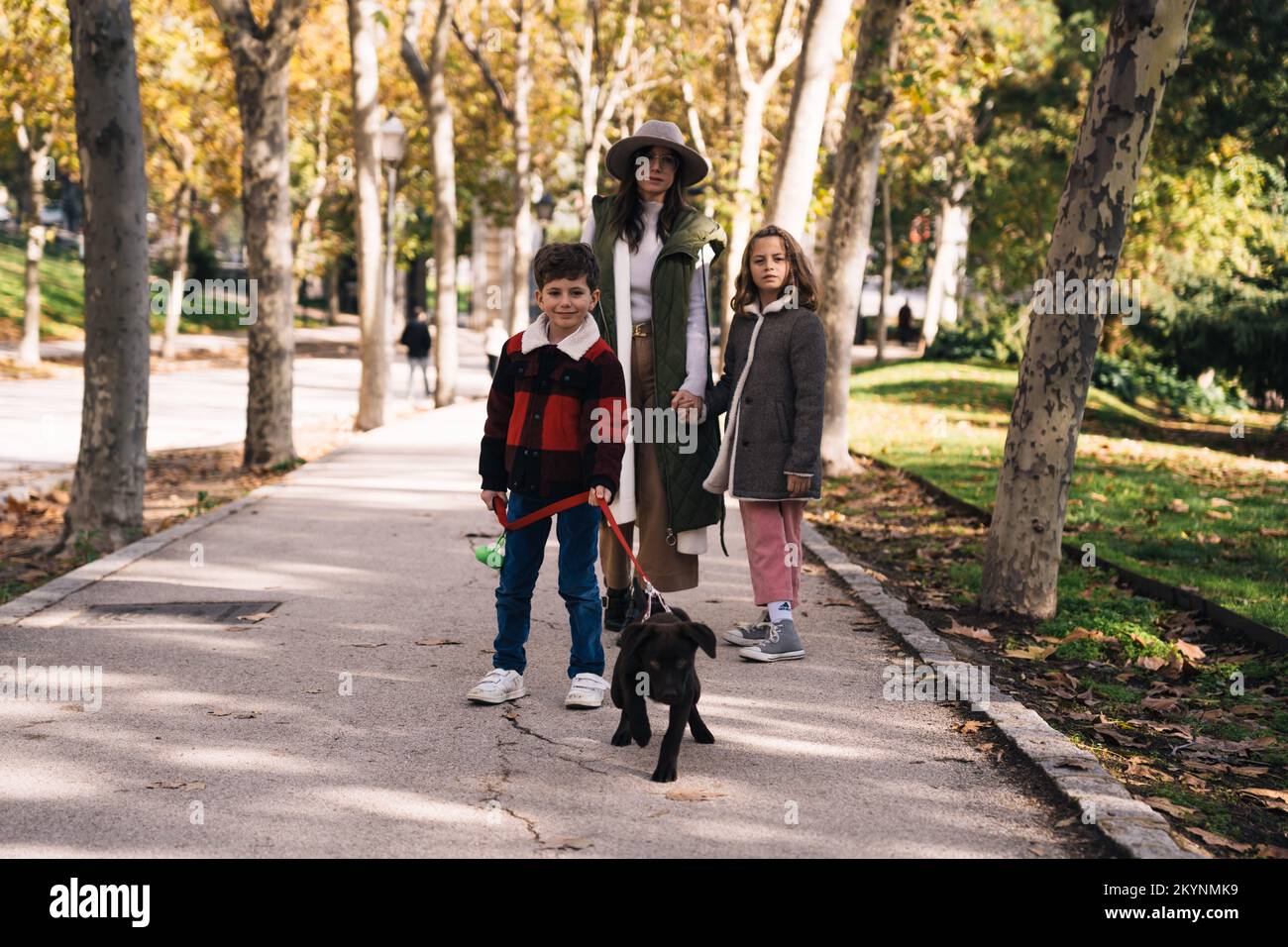 Full body mom and kids with Labrador Retriever puppy on leash standing on asphalt path in sunlit autumn park in weekend Stock Photo