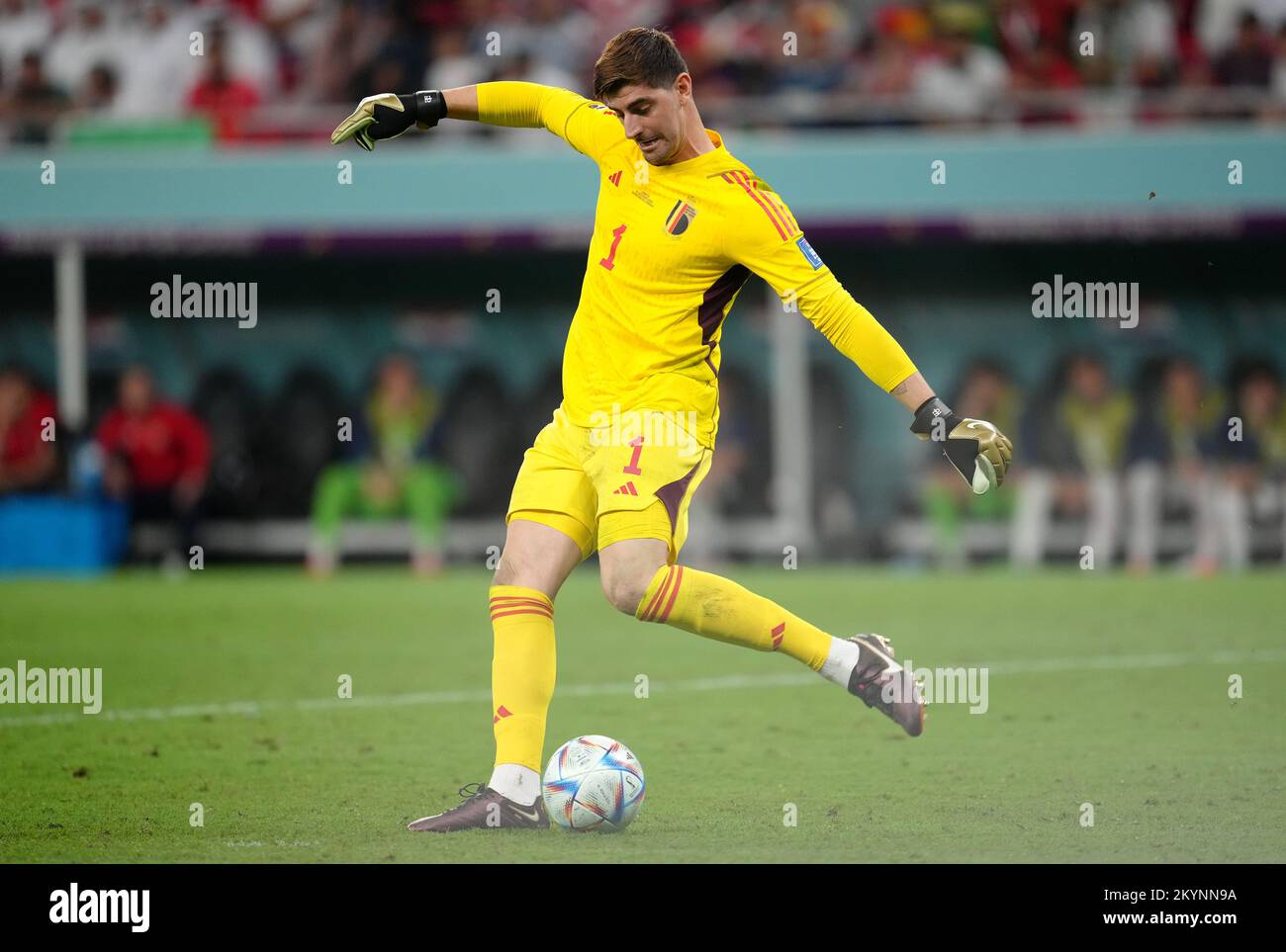 Belgium goalkeeper Thibaut Courtois during the FIFA World Cup Group F