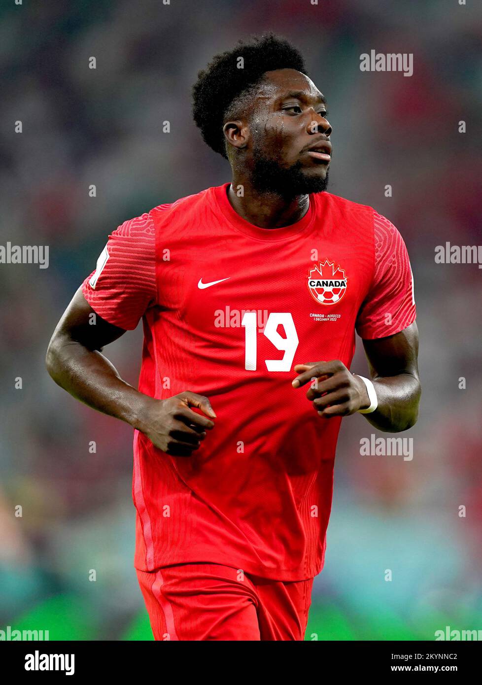 Spectacular Canada Captain Alphonso Davies Available To Play Vs. Qatar After Missing World Cup Opener Background Art Spectacular Canada Captain Alphonso Davies Available To Play Vs. Qatar After Missing World Cup Opener Background Art