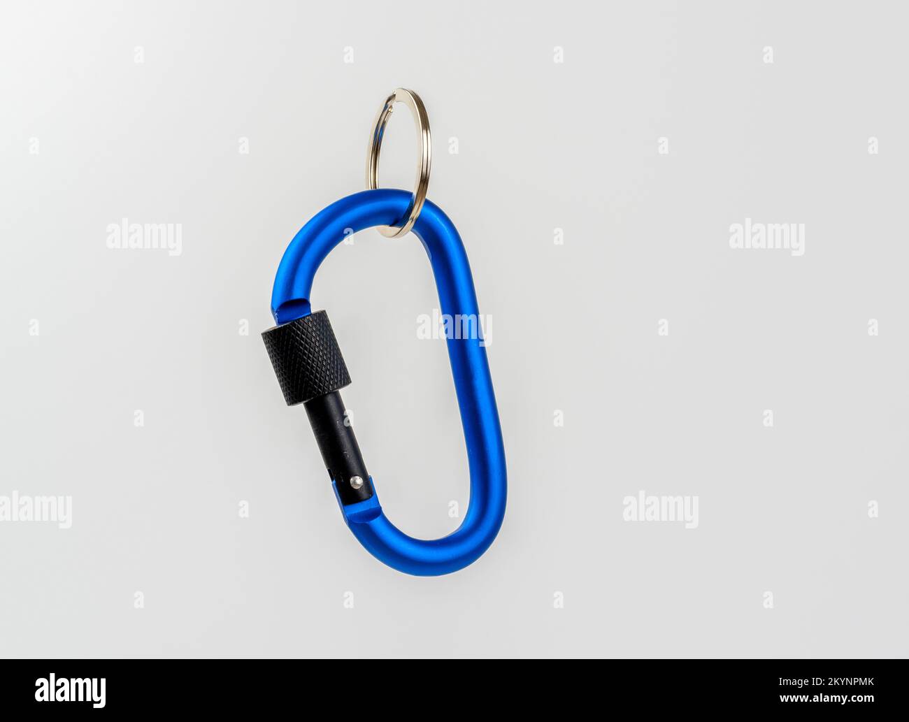 Cherrie Basic Carabiner Keychain Blue