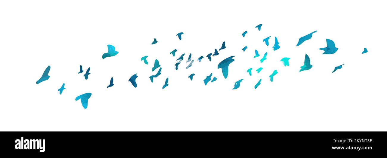 Bird watercolor. A flock of colorful birds. Mixed media. Vector ...