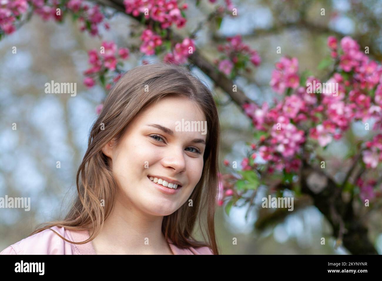 Portrait of cherry blossoms hi-res stock photography and images - Alamy