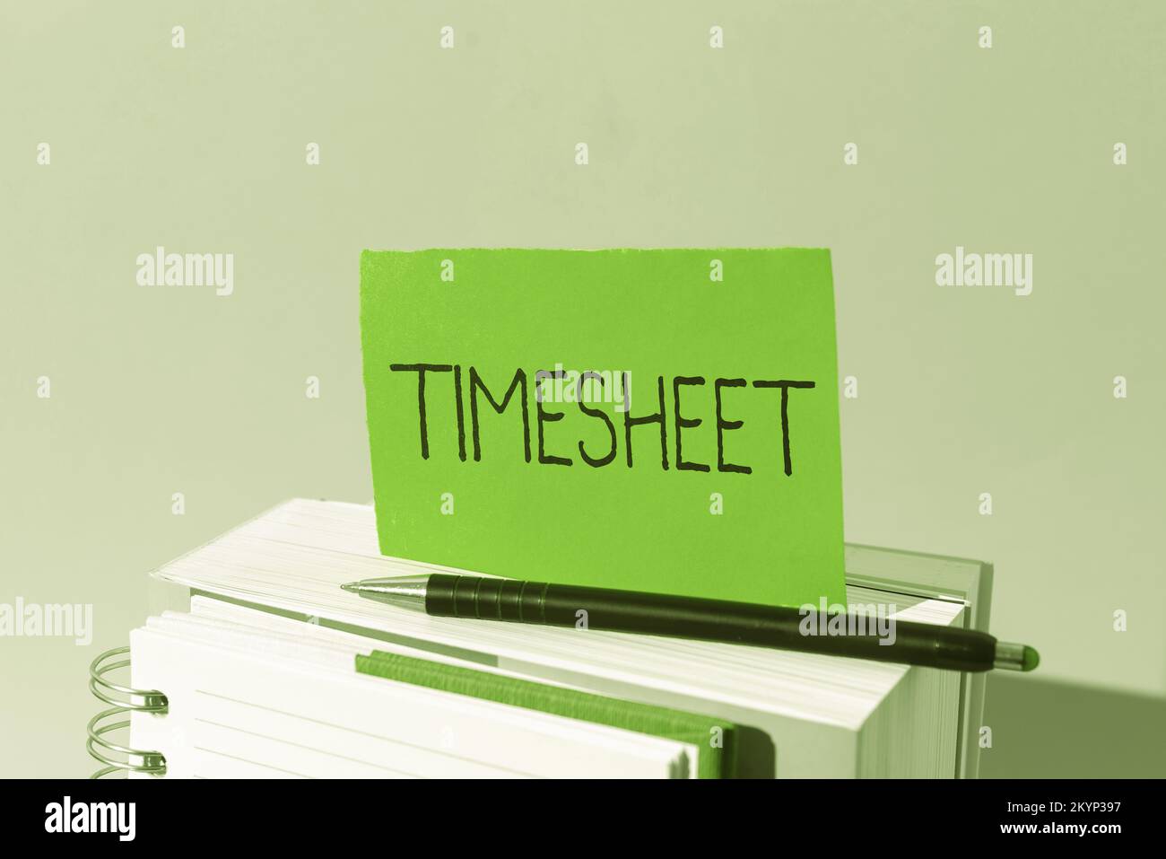 Handwriting text Timesheet. Business idea graphical representation of ...
