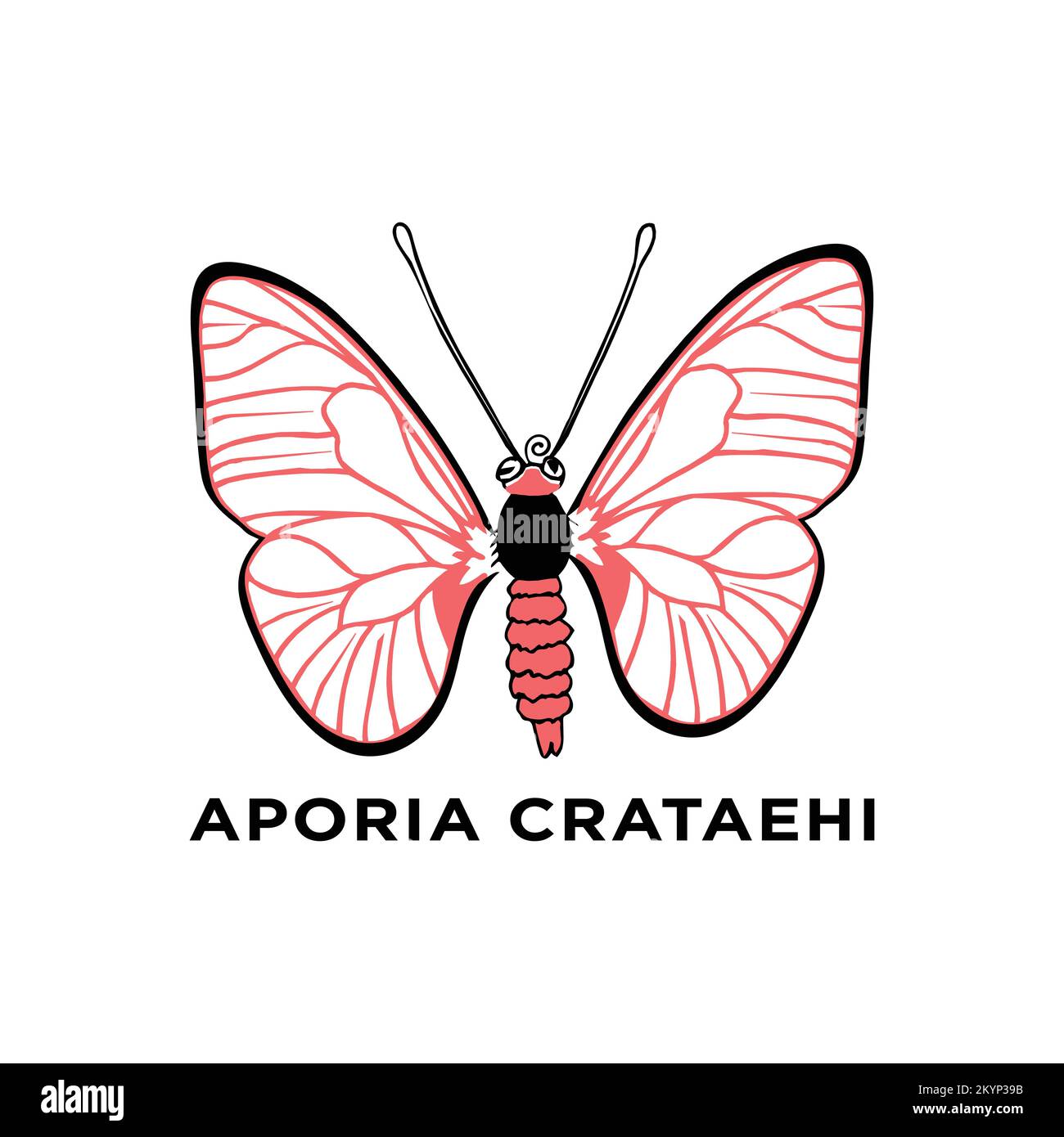 Minimal Aporia  butterfly vector icon on a background Stock Vector