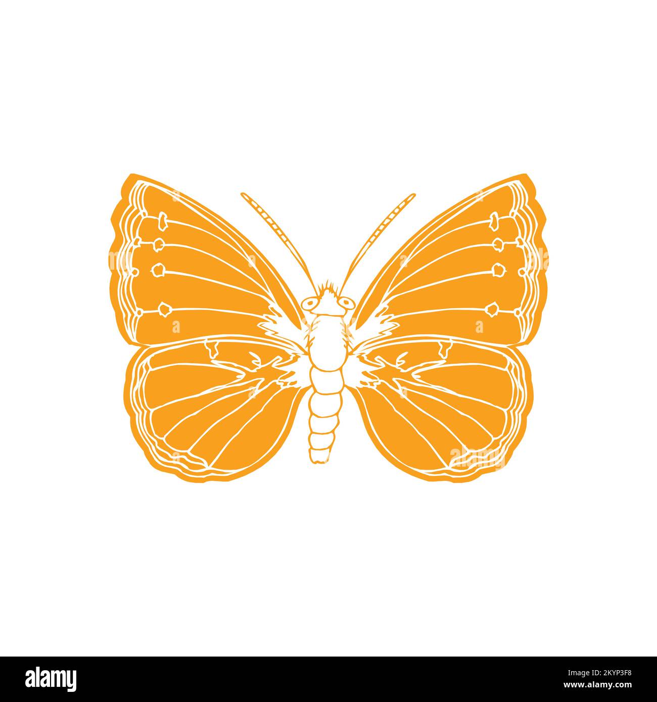 Colias butterfly vector icon with white background Stock Vector