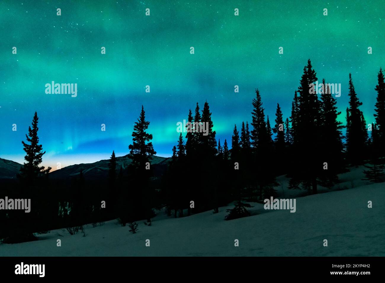 North America; United States; Alaska;  Nenana River; Mount Fellows; Winter; Natural Phenomena; Night Sky; Aurora Borealis; Northern Lights Stock Photo
