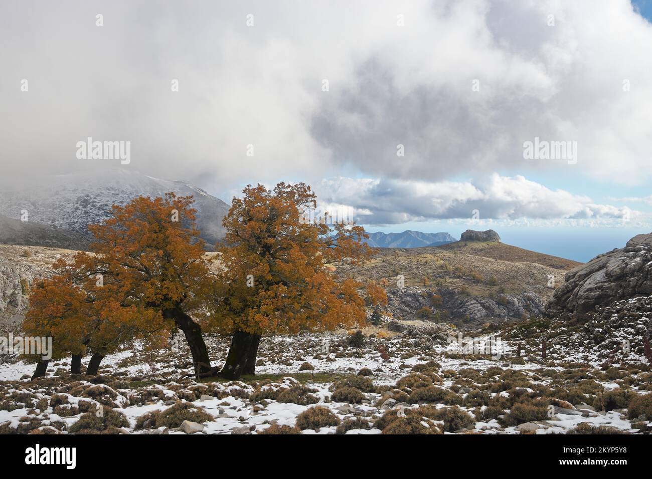 parque nacional sierra de las nieves,senderismo,invierno,snow mountain