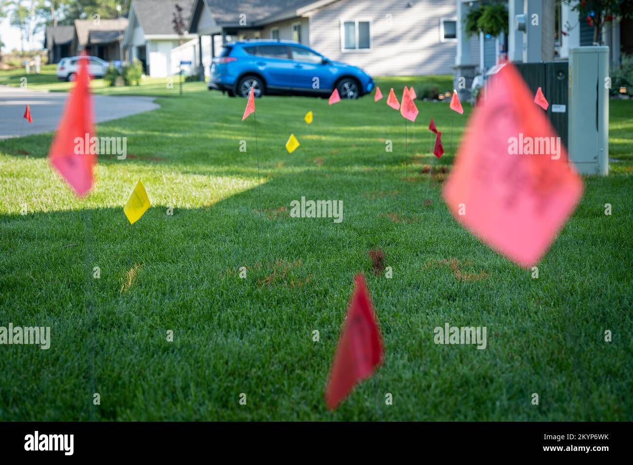 Warning flags on the green grass of a residential lawn, used to prevent