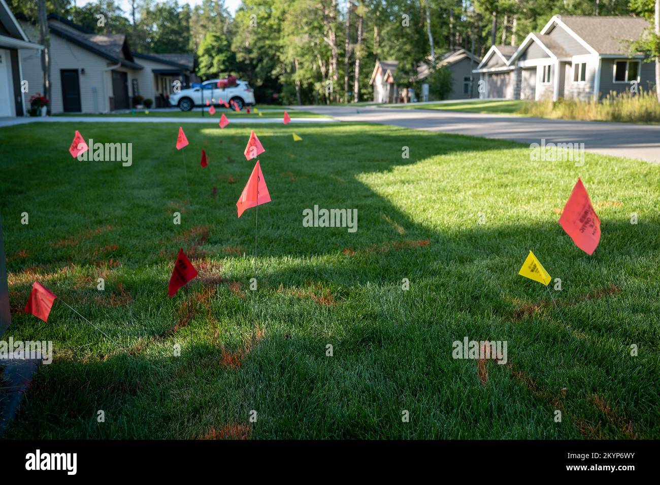 Warning flags on the green grass of a residential lawn, used to prevent