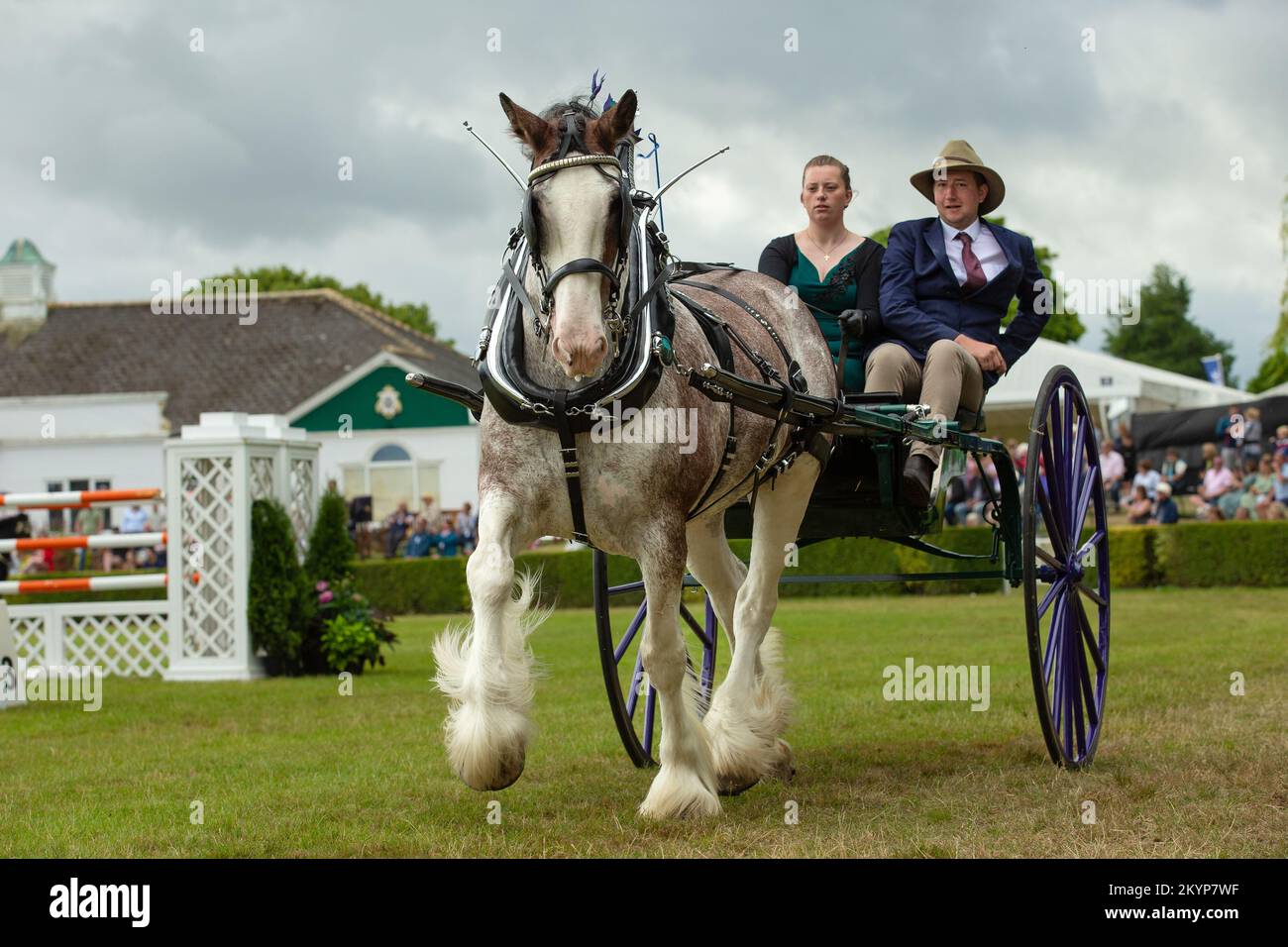 Great Yorkshire Show, Harrogate, UK. July 15, 2022. Heavy Horse Turnout and Championship at the Great Yorkshire Show, lady and gentleman driving two-w Stock Photo