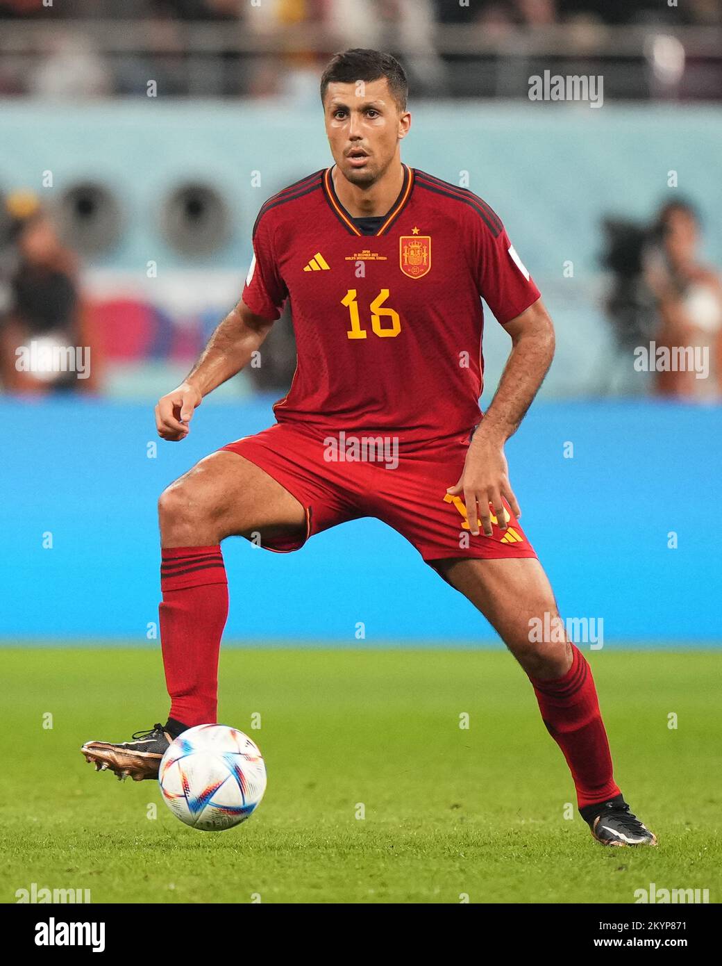 ar-rayyan-qatar-december-1-2022-rodri-hernandez-of-spain-during-the