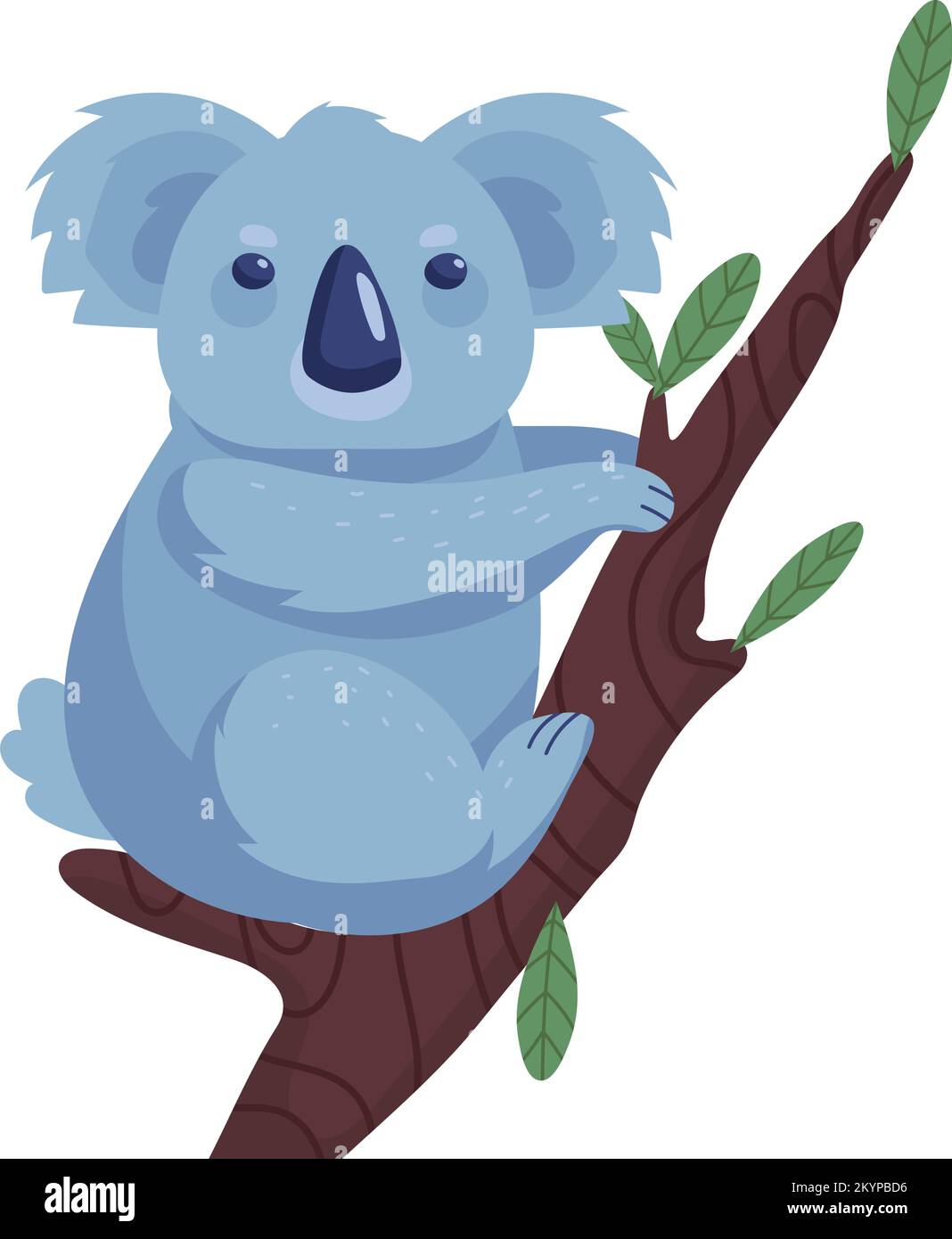 Koala on a branch Stock Vector Images - Alamy