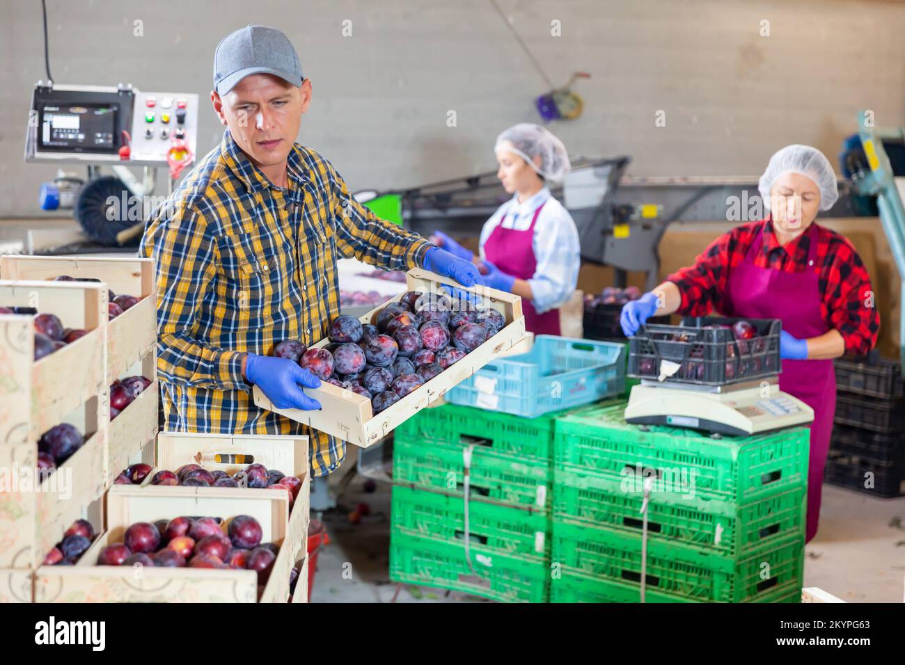 Prepackaging hi-res stock photography and images - Alamy