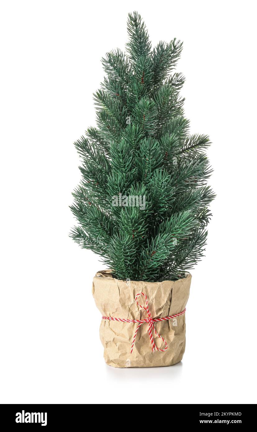 Small Christmas tree in pot on white background Stock Photo Alamy
