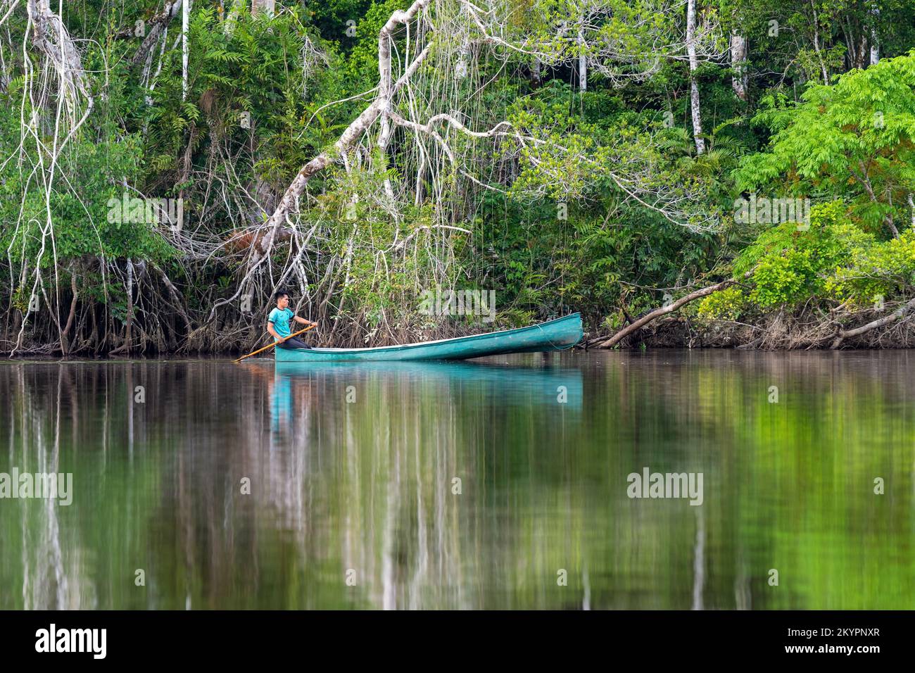 Indigenous Kichwa man on canoe in Amazon rainforest, Yasuni national park, Ecuador. Stock Photo