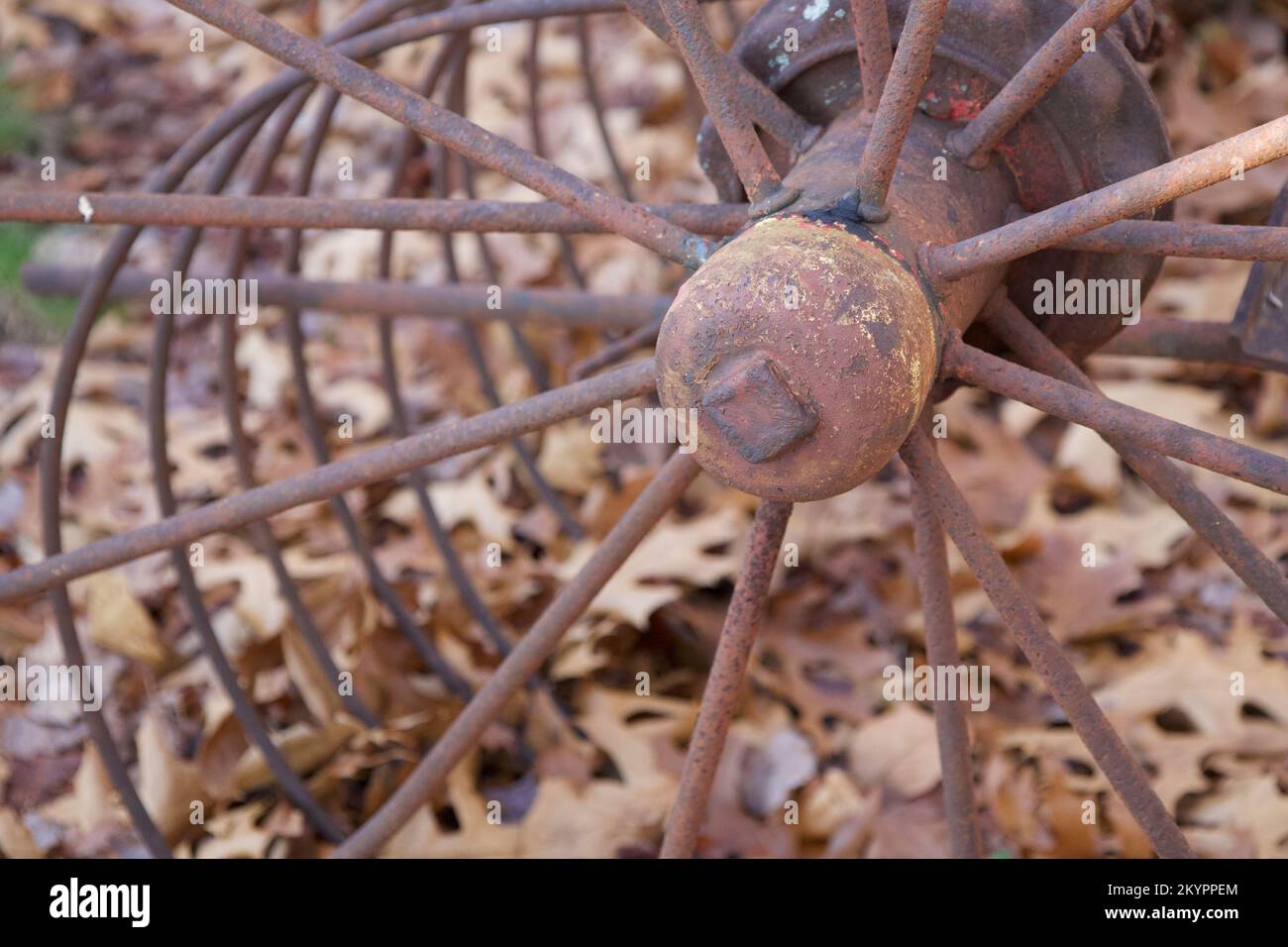 Vintage, rusty farm equipment in New England with dried, autumn leaves in the background Stock Photo
