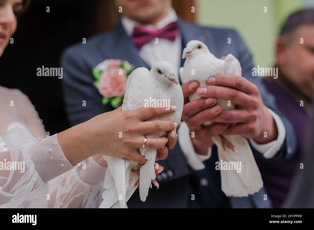Wedding car decoration bow white -Fotos und -Bildmaterial in hoher  Auflösung – Alamy