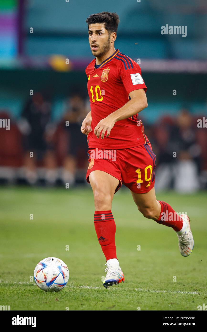 Doha, Catar. 01st Dec, 2022. ASENSIO Marco of Spain during the match between Japan and Spain, valid for the group stage of the World Cup, held at Khalifa International Stadium in Doha, Qatar. Credit: Rodolfo Buhrer/La Imagem/FotoArena/Alamy Live News Stock Photo