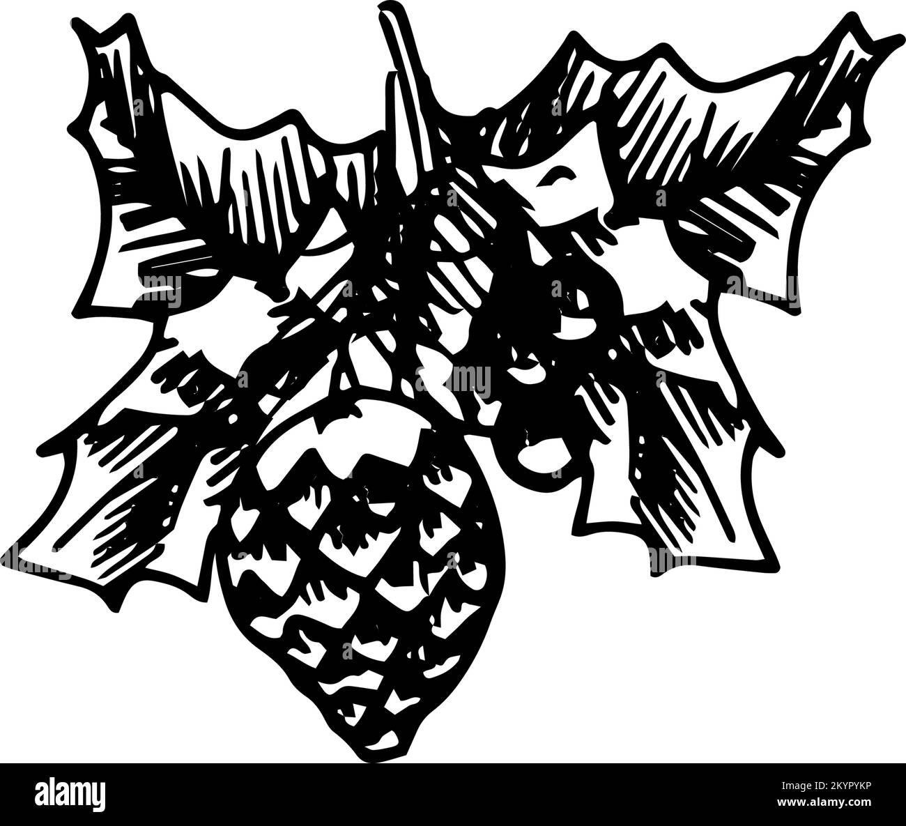 Hand Drawing Artistic Doodle Icon. Pine Cone and Fir-needles. New Year Vintage Design for Christmas Card or Invitation on White Stock Vector