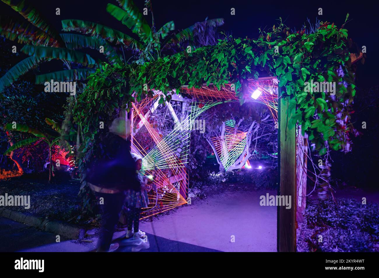 Encinitas, California. San Diego Botanic Garden holidays light show