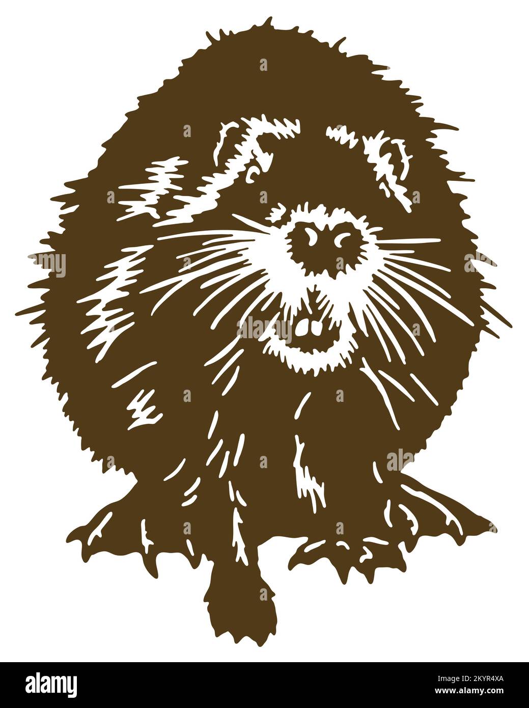 Tail beaver tail rat Stock Vector Images - Alamy