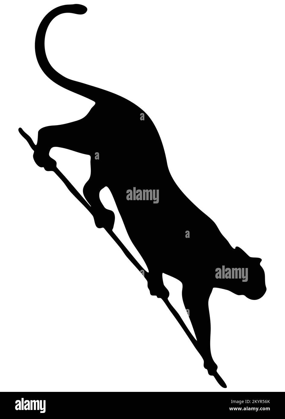 Cheetah long tail Stock Vector Images - Alamy