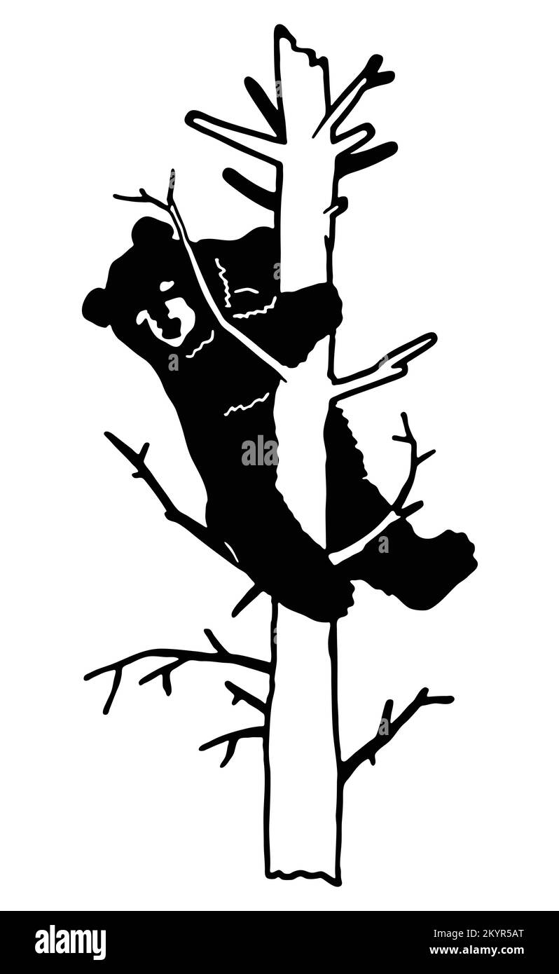 cute bear climbing tree vector silhouette. bear cub icon isolated on