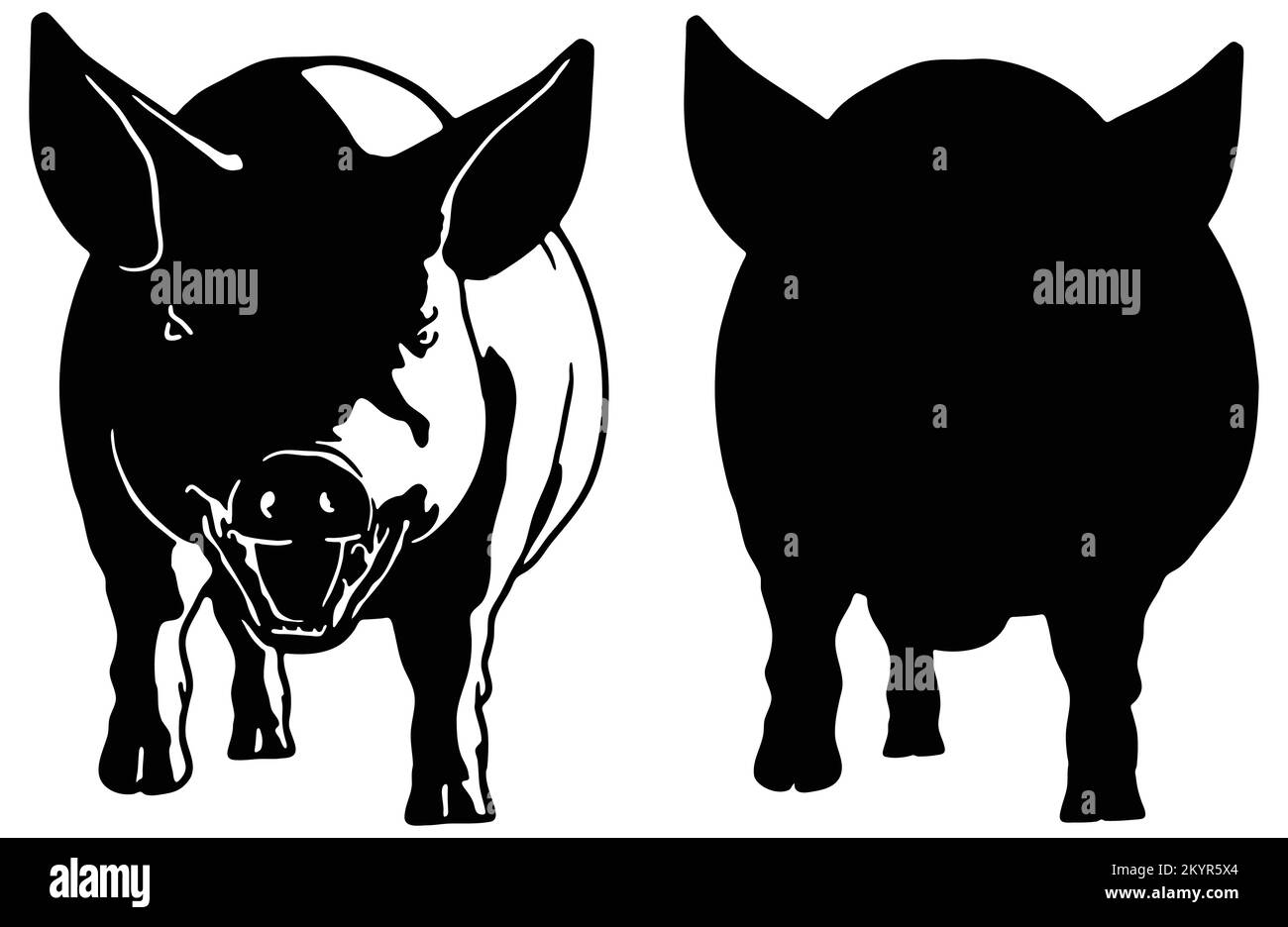 Mini pig studio Stock Vector Images Alamy