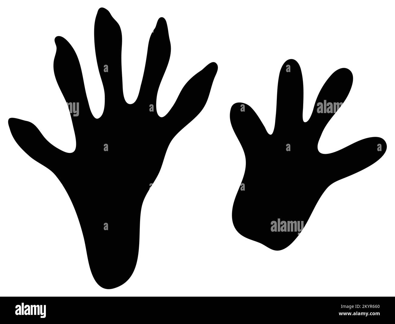 muskrat track vector, muskrat foot print silhouette vector Stock Vector