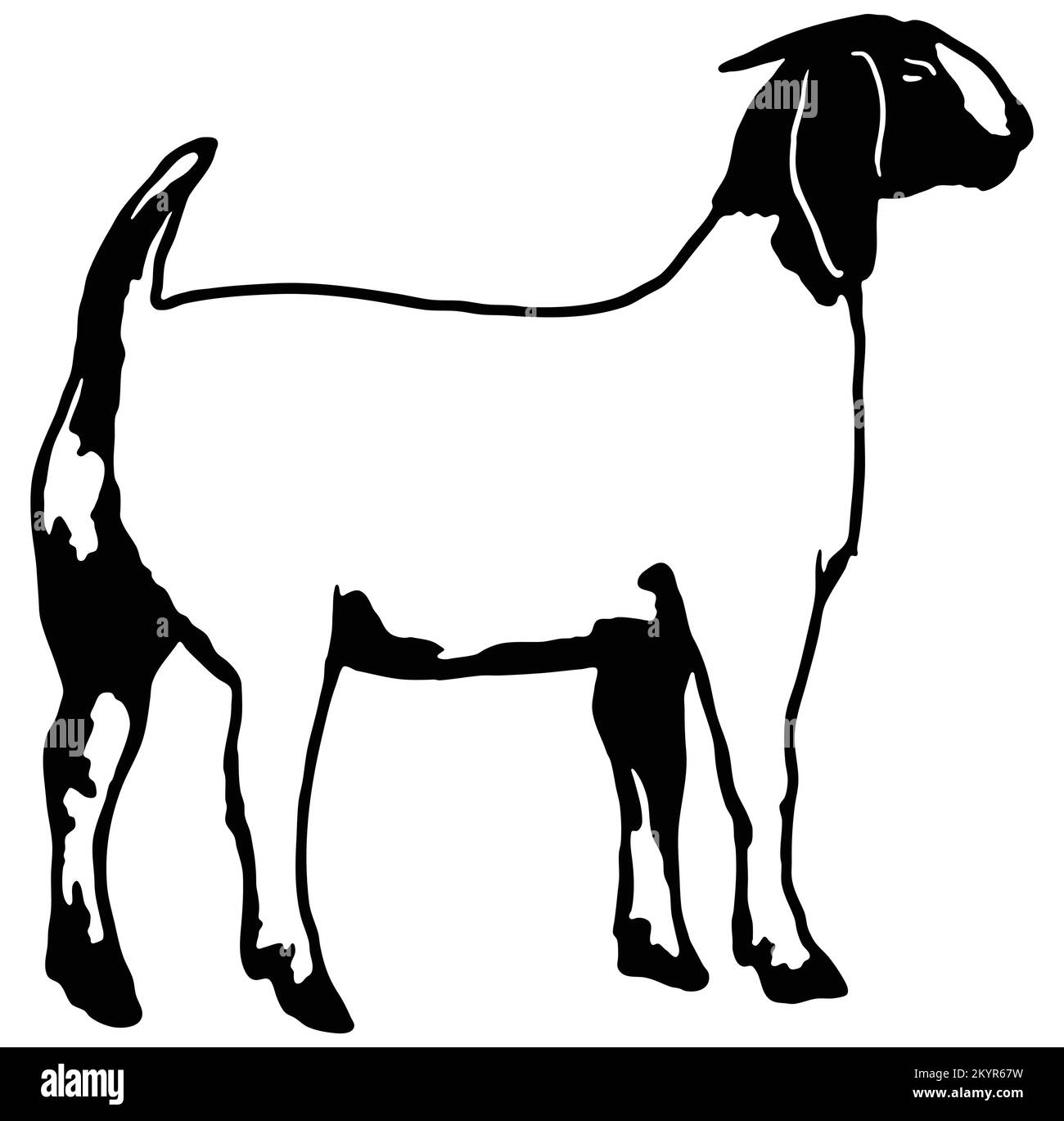 Силуэт нубийской козы