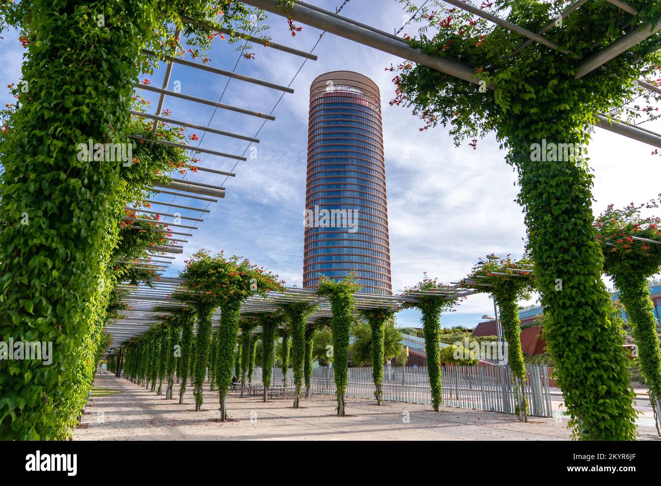 A view of the Torre Sevilla (Sevilla Tower) from Parque Fernando Magallanes. As of 2022, this is the tallest building in Andalusia. Stock Photo