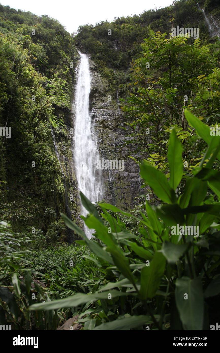 Pipiwai Trail & Waimoku Falls, Maui, Hawaii Stock Photo - Alamy