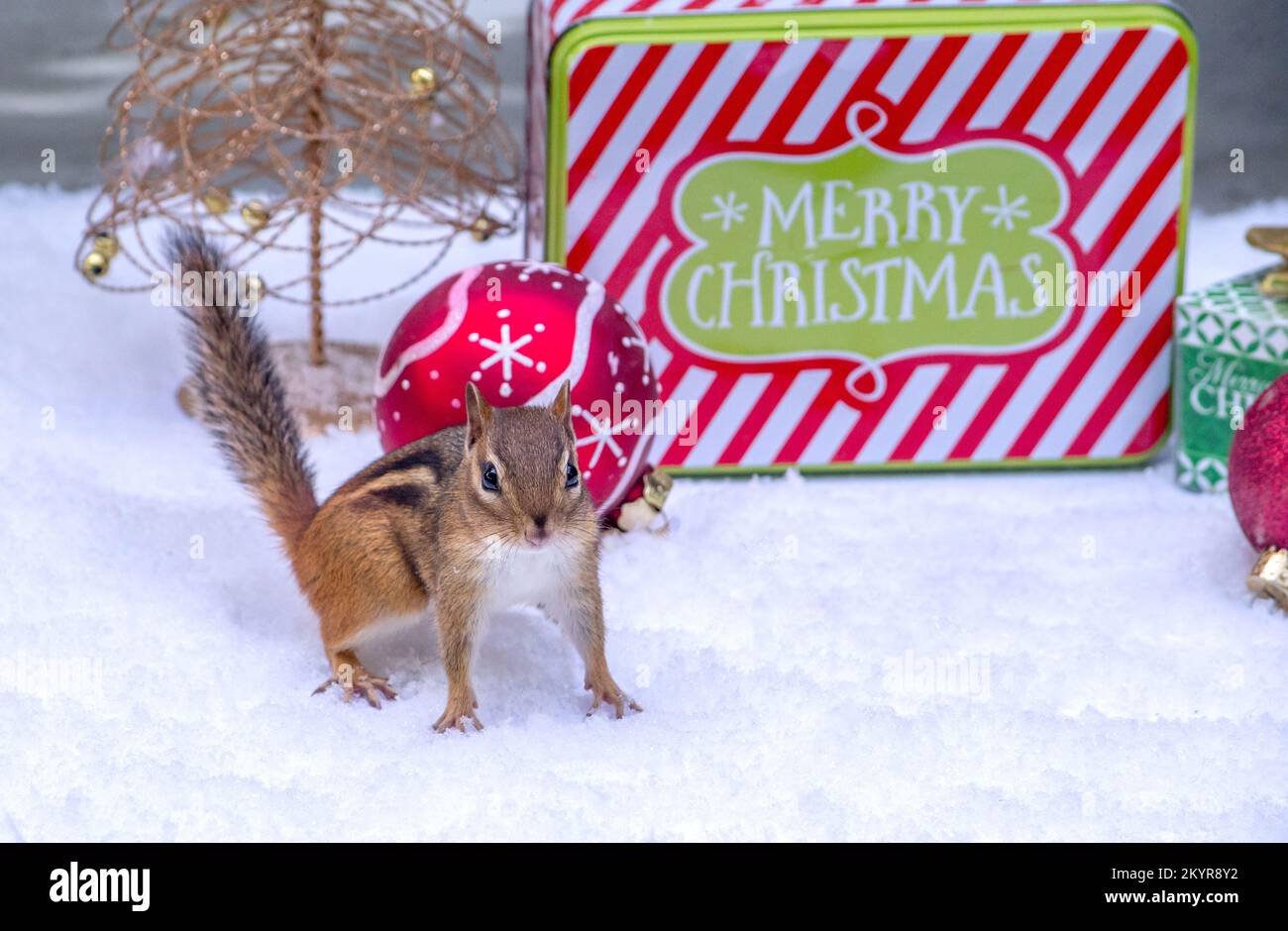 They know not what they do hi-res stock photography and images - Alamy