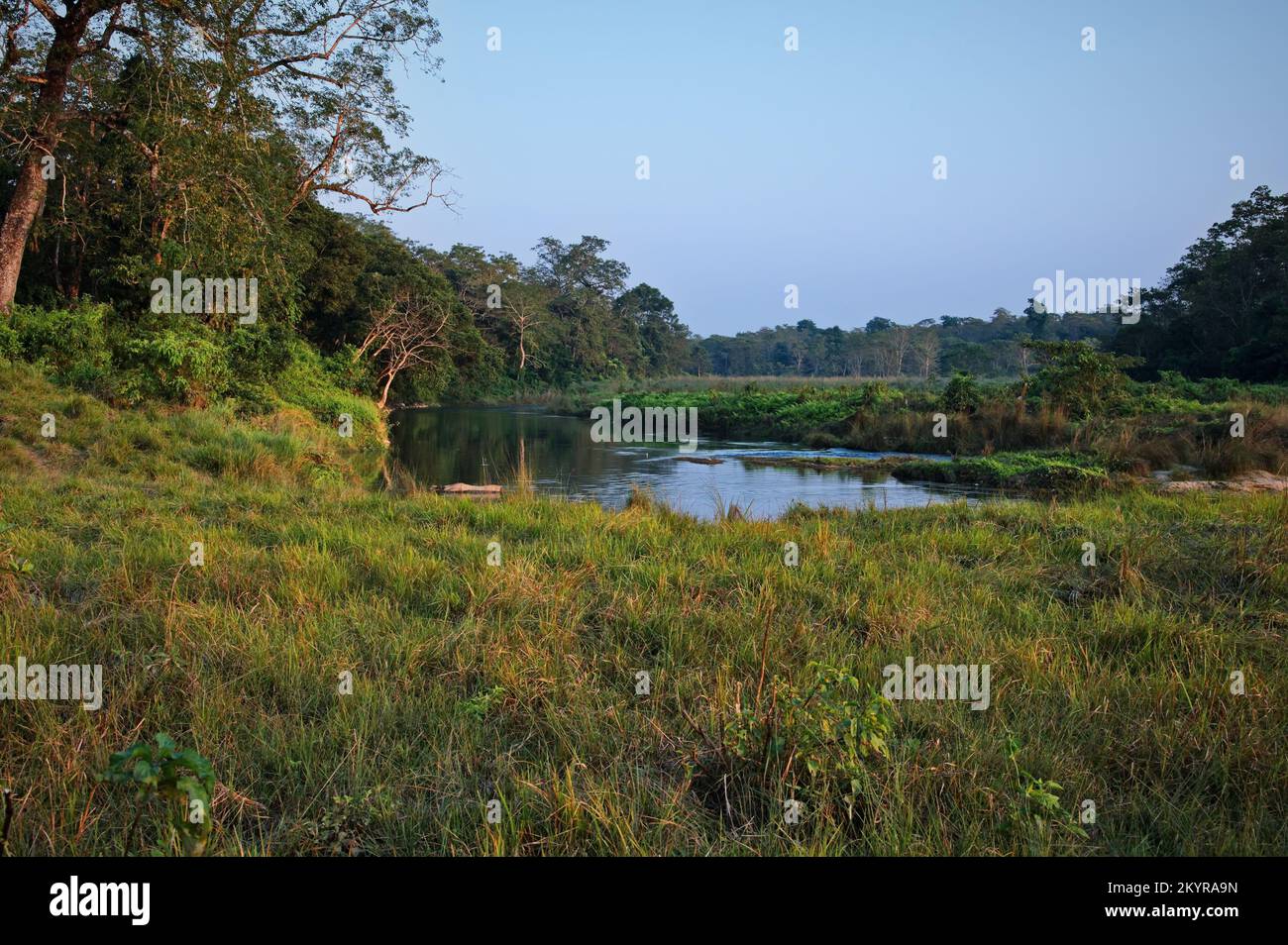 Grassland and jungle in Chitwan National Park with rhino bathing in river, Nepal Stock Photo