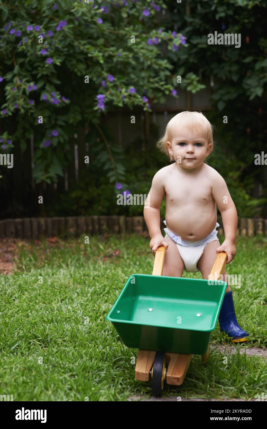 Intrigued by nature. A cute baby boy playing with his toy wheelbarrow in the garden. Stock Photo