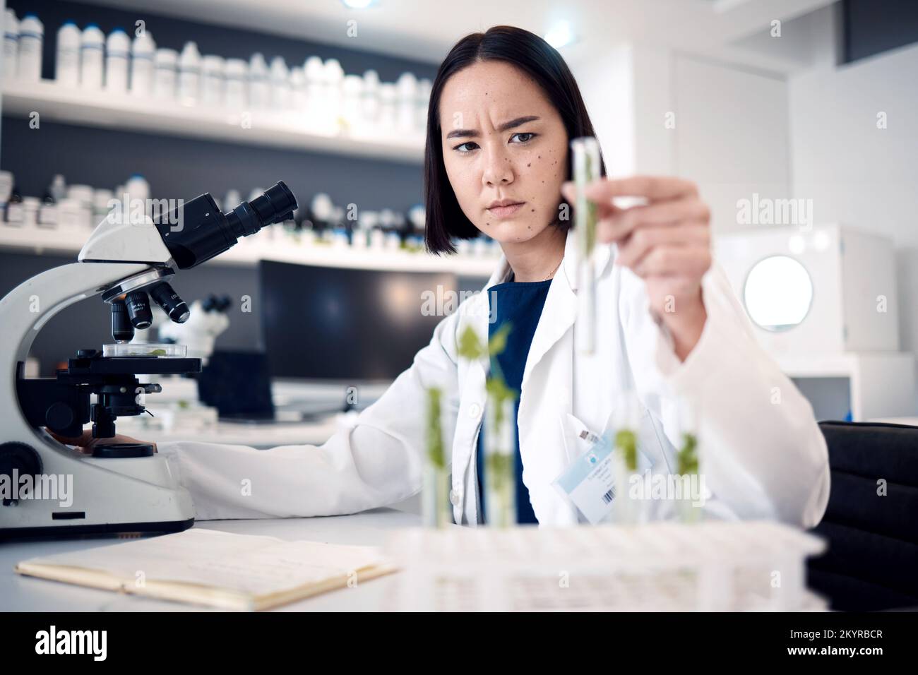 Scientist woman, test tube and lab for plants in agriculture, food security or gmo on table by microscope. Asian science expert, research or growth of Stock Photo