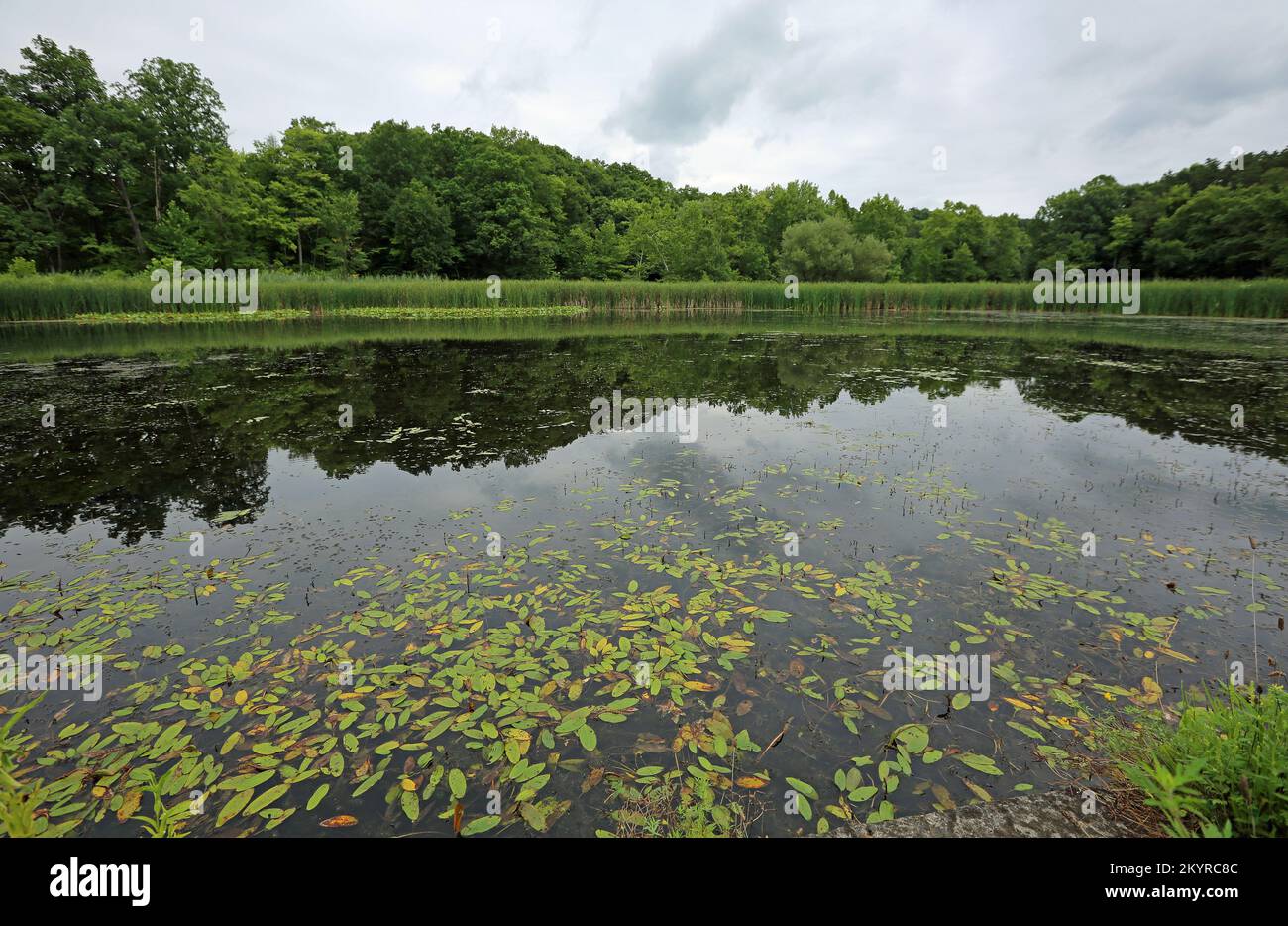 Panorama with Kendall lake Cuyahoga Valley National Park, Ohio Stock
