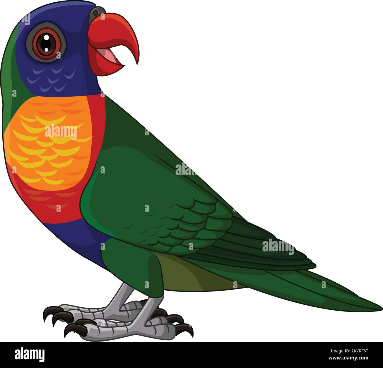 Cartoon Rainbow Lorikeet on White Background Stock Vector
